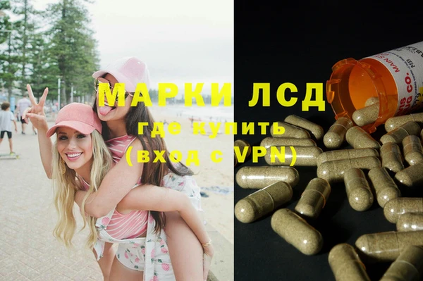 ешки Белокуриха