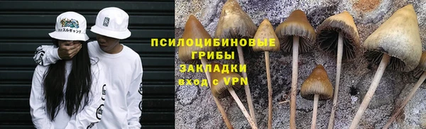 ешки Белокуриха