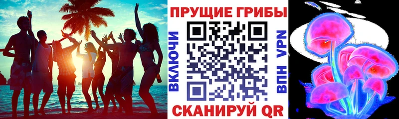 Галлюциногенные грибы MAGIC MUSHROOMS Голицыно
